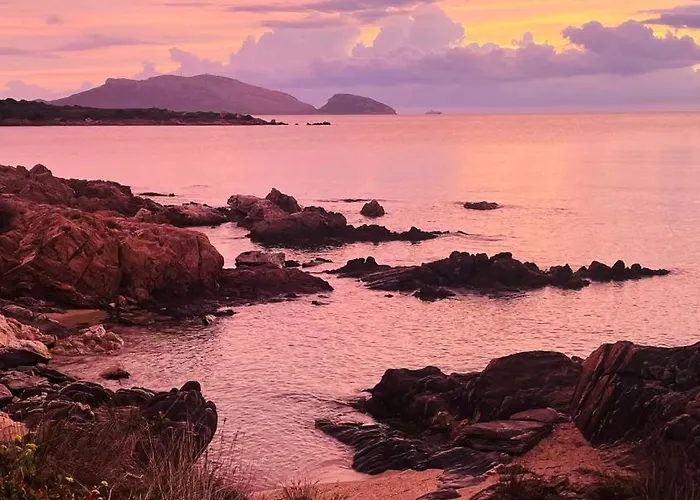 Ventus Auster * אולביה