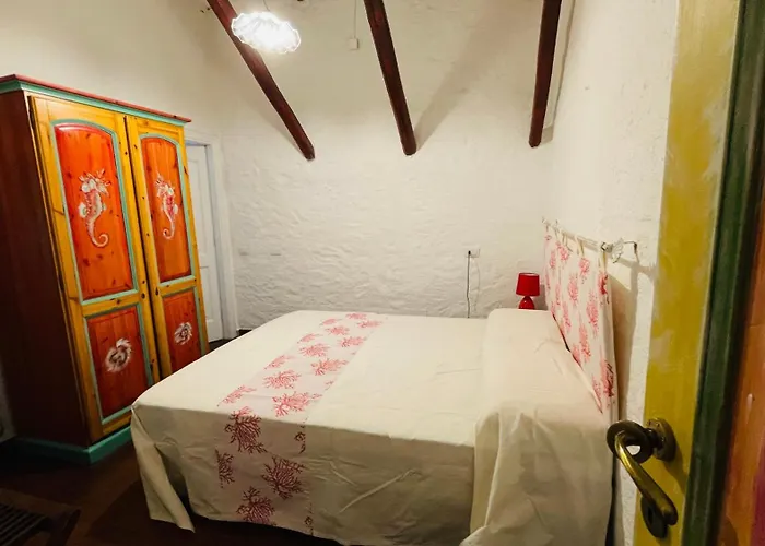 Ventus Auster אולביה